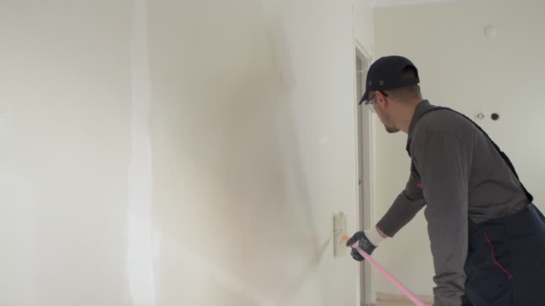 Best Eco-Friendly and Low-VOC Painting  in Tanque Verde, AZ